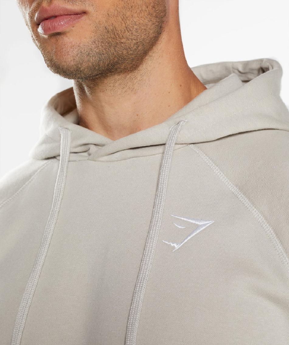 Sudadera Con Capucha Gymshark Crest Hombre Gris | CO 3598BEX